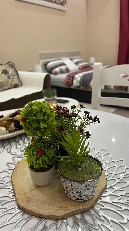 Apartment Downtown 포드고리차 외부 사진