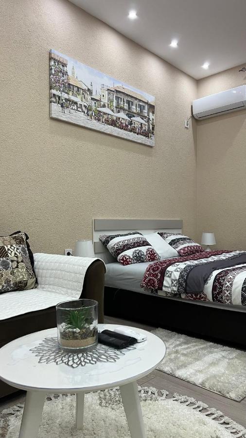 Apartment Downtown 포드고리차 외부 사진
