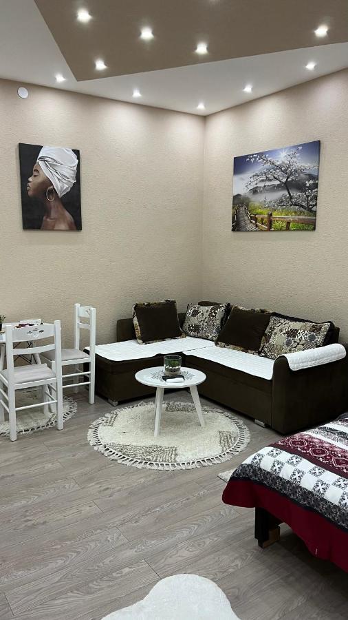 Apartment Downtown 포드고리차 외부 사진